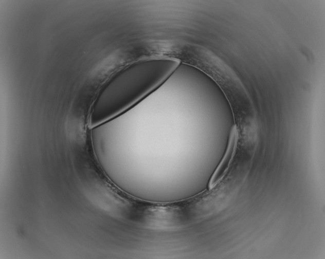 X0000112510558200908171336