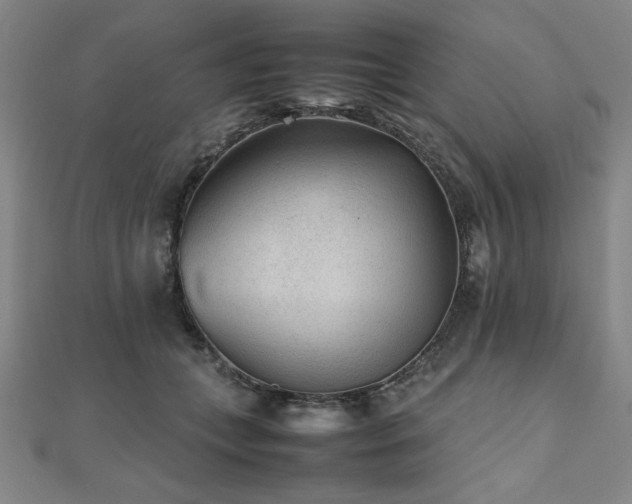 X0000112510559200908171336