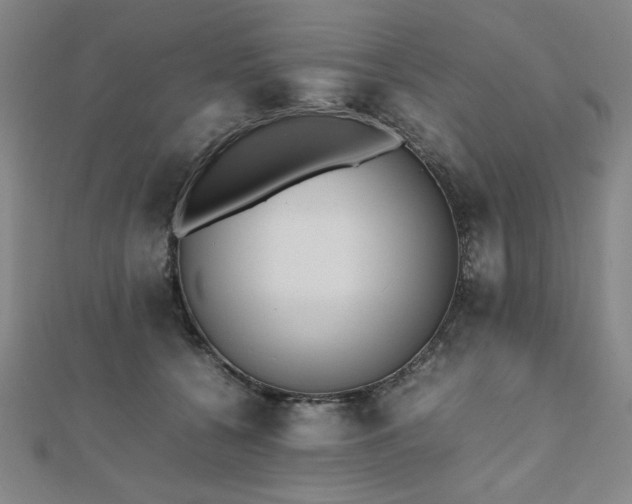 X0000112510560200908171336