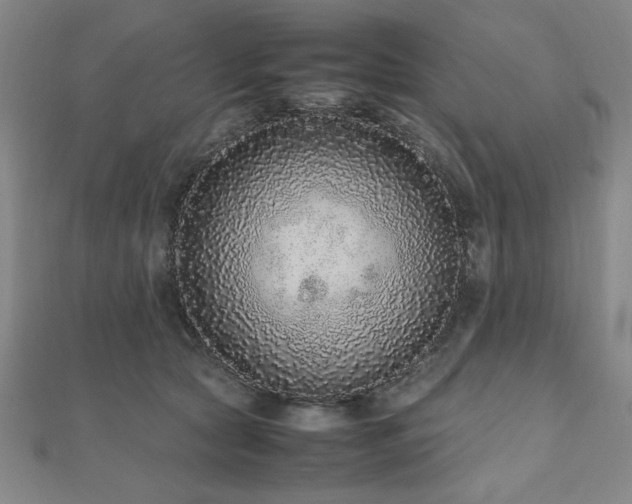 X0000112510561200908171336