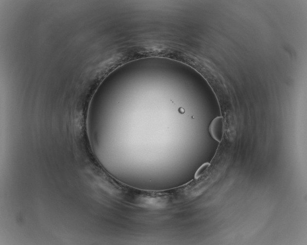 X0000112510563200908171336