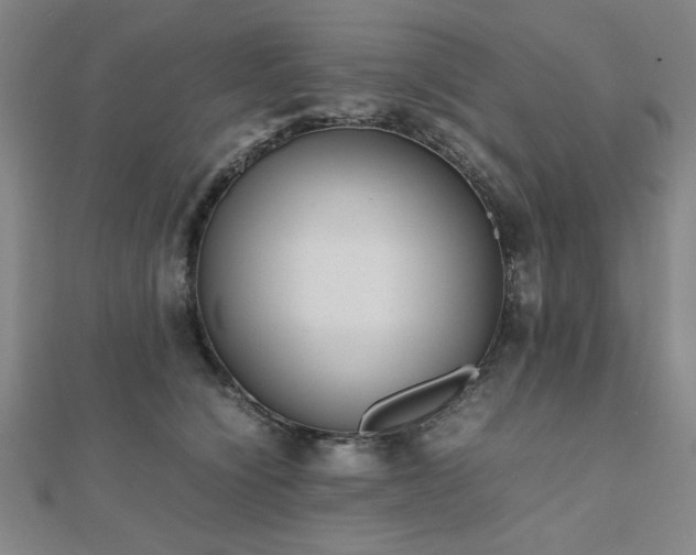 X0000112510564200908171336