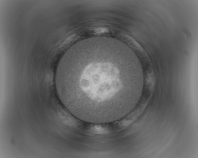 X0000112510565200908171336