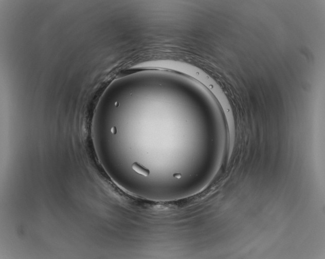 X0000112510566200908171336