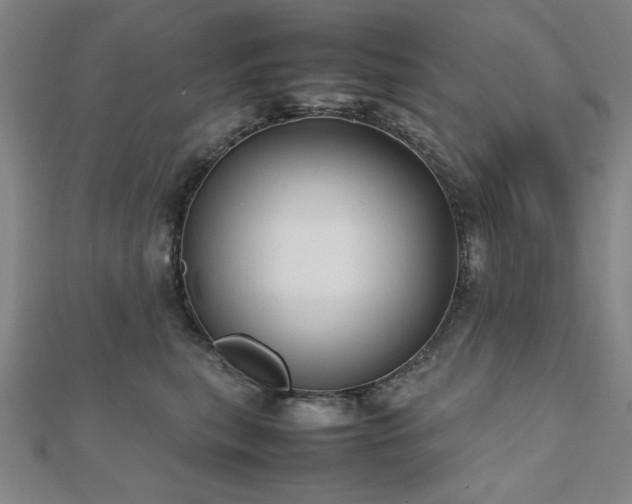 X0000112510567200908171336