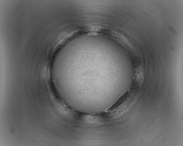 X0000112510568200908171336