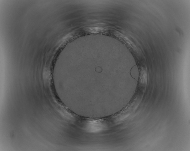 X0000112510569200908171336