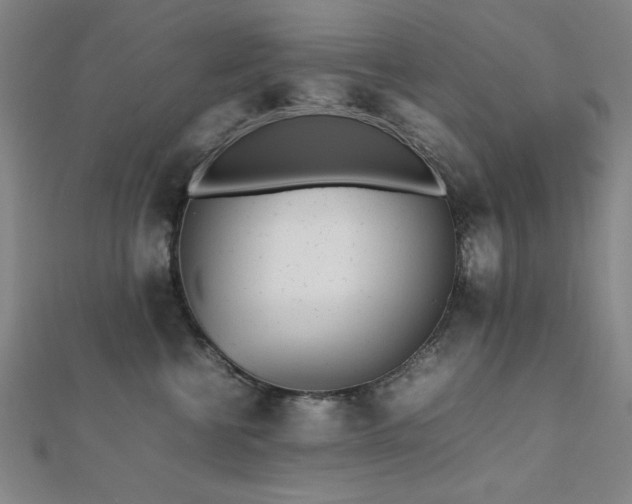 X0000112510570200908171336