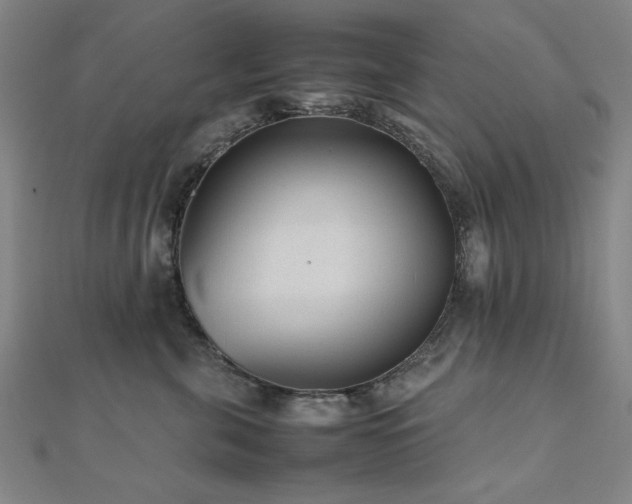 X0000112510571200908171336