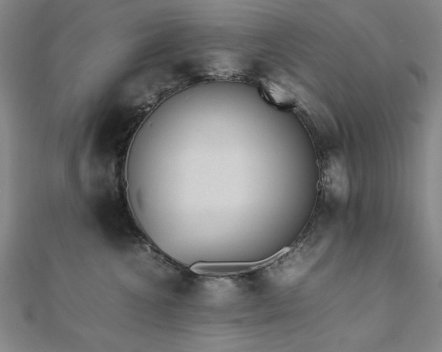 X0000112510572200908171336