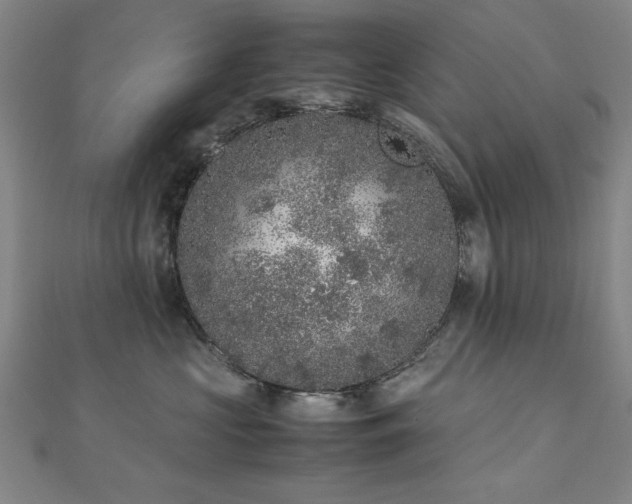 X0000112510573200908171336