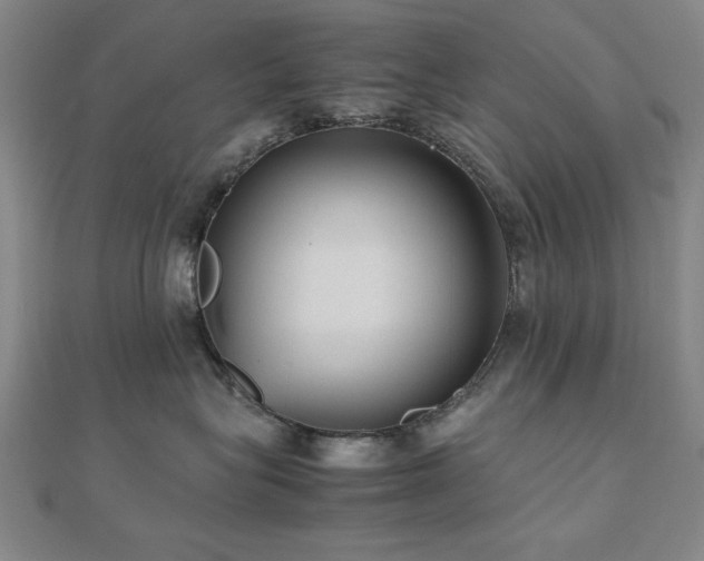 X0000112510575200908171336