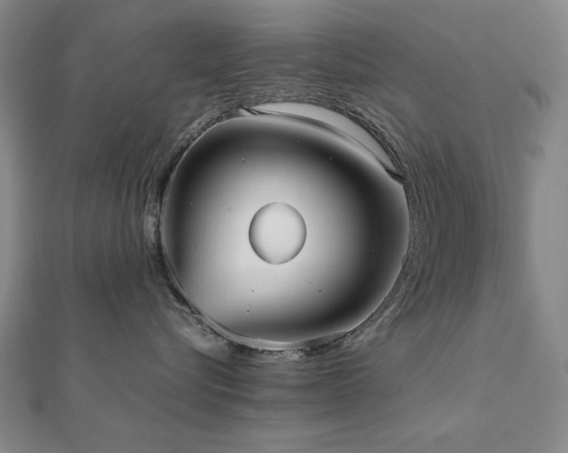 X0000112510576200908171336