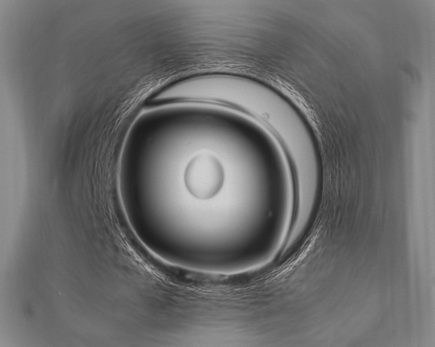 X0000112510577200908171335