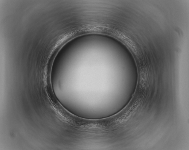 X0000112510578200908171335