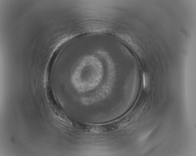 X0000112510579200908171335