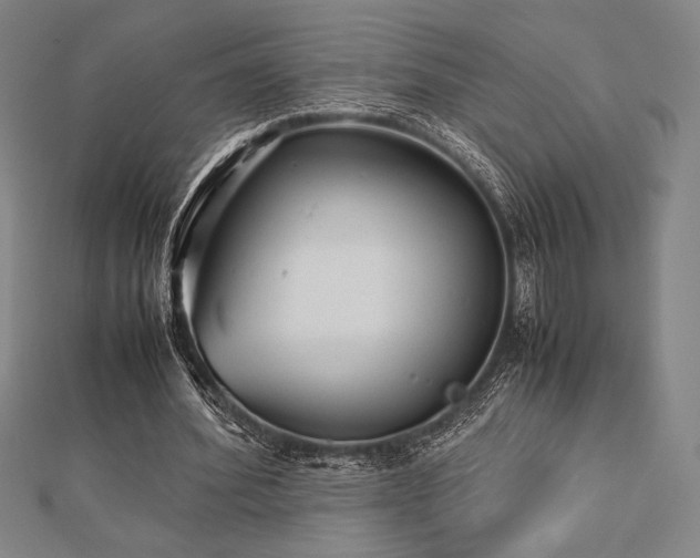 X0000112510580200908171335