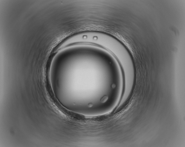 X0000112510581200908171335