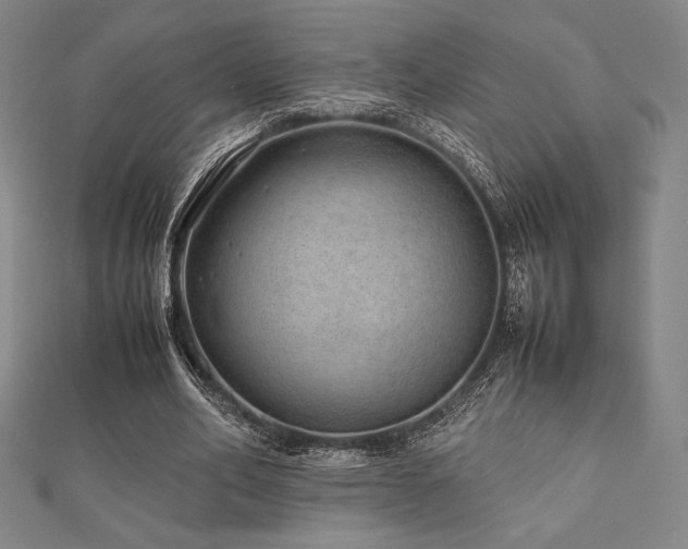 X0000112510582200908171335