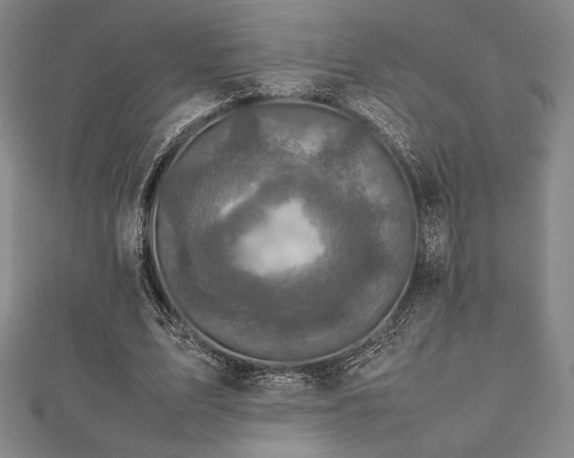 X0000112510583200908171335