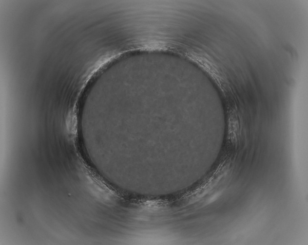 X0000112510584200908171335