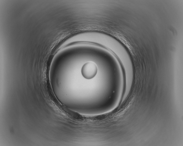 X0000112510585200908171335