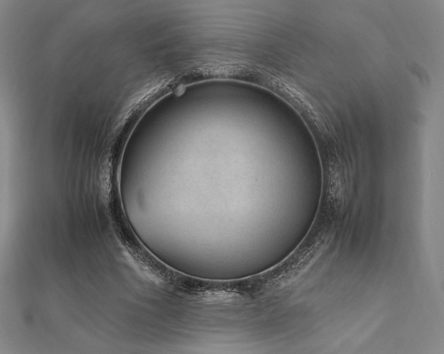 X0000112510586200908171335