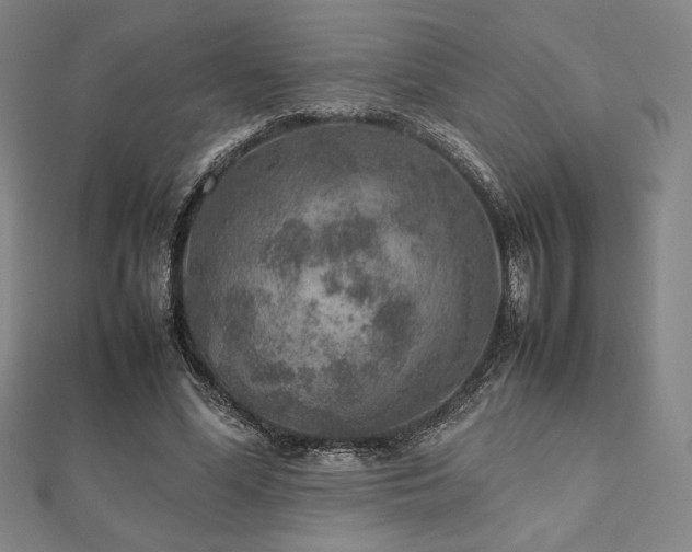 X0000112510588200908171335