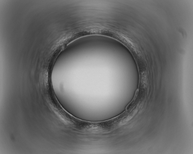 X0000112510589200908171335