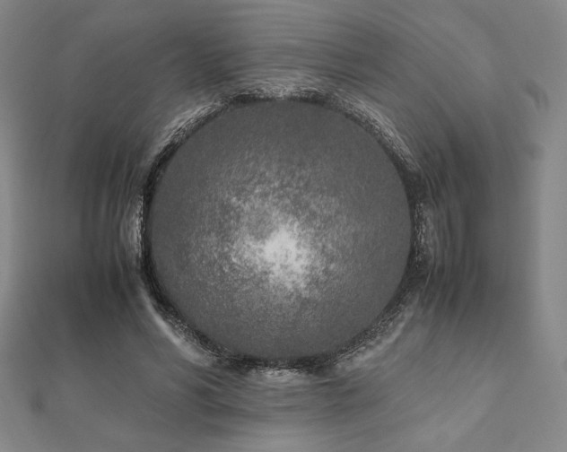 X0000112510590200908171335