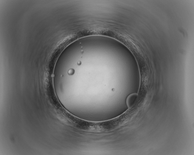 X0000112510591200908171335