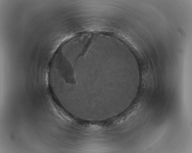 X0000112510592200908171335