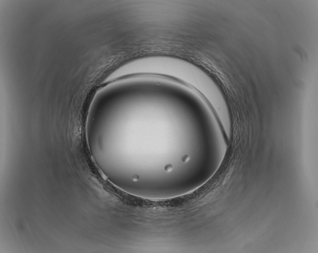 X0000112510593200908171335