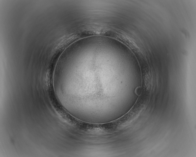 X0000112510594200908171335