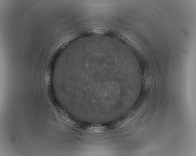 X0000112510595200908171335