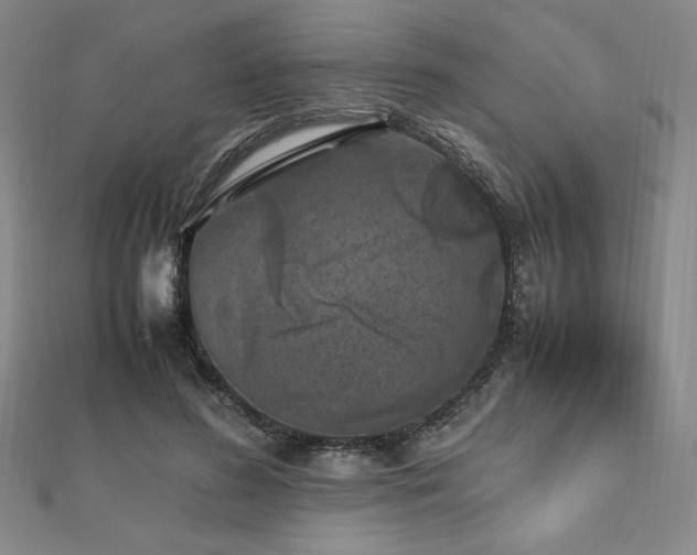 X0000112510596200908171335