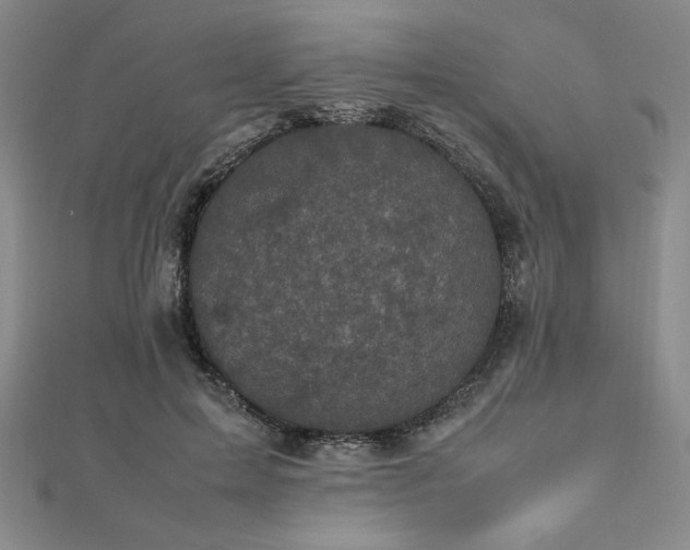 X0000112510599200908171335