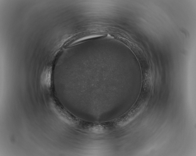 X0000112510600200908171335