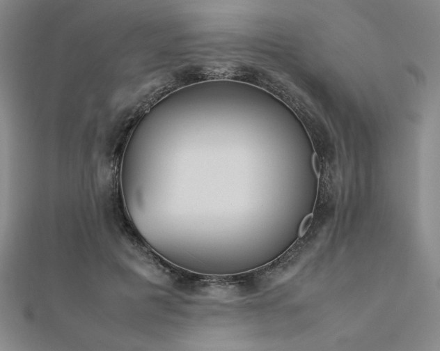 X0000112510601200908171335