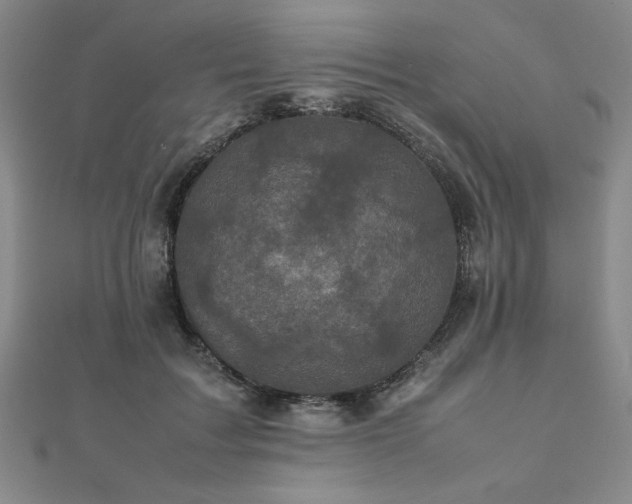 X0000112510603200908171335