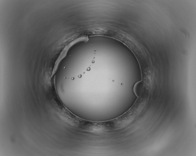 X0000112510604200908171335