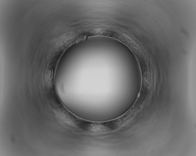 X0000112510605200908171335