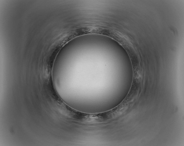 X0000112510607200908171335