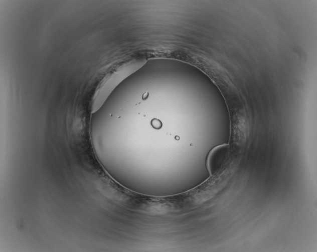 X0000112510608200908171335