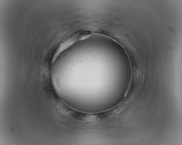 X0000112510609200908171335