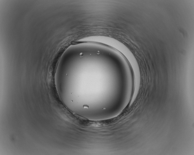 X0000112510611200908171335