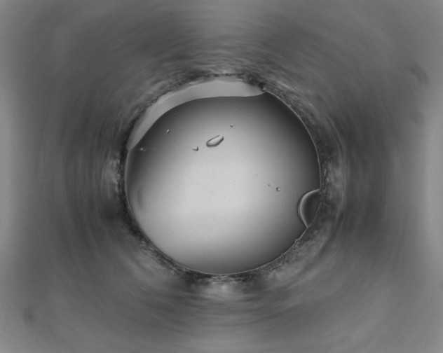 X0000112510612200908171335