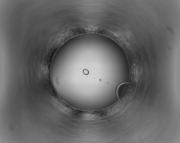 X0000112510614200908171335