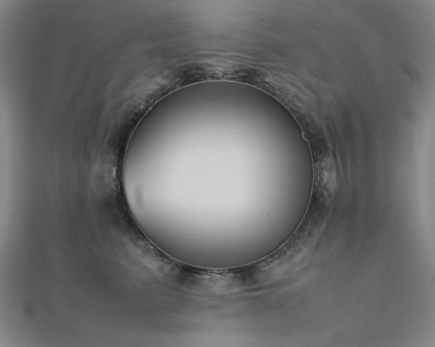 X0000112510615200908171335