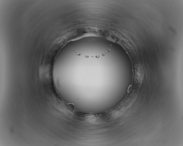 X0000112510616200908171335